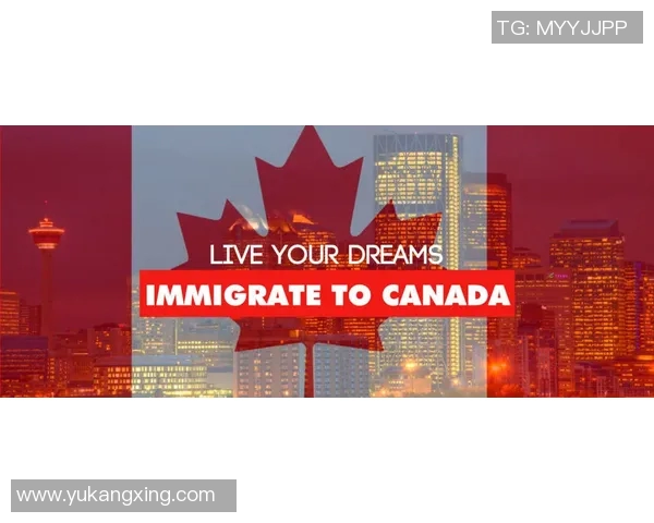 独行侠评分出炉：是高光还是低迷？